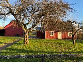 Tore's in Sösdala